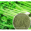 /msite/products/detail/productid/61982642/id/1497971.html